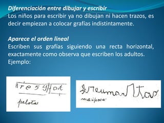 Diferenciación entre dibujar y escribir 
Los niños para escribir ya no dibujan ni hacen trazos, es 
decir empiezan a colocar grafías indistintamente. 
Aparece el orden lineal 
Escriben sus grafías siguiendo una recta horizontal, 
exactamente como observa que escriben los adultos. 
Ejemplo: 
 