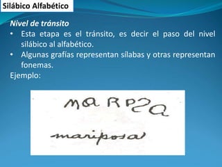 Silábico Alfabético
Nivel de tránsito
• Esta etapa es el tránsito, es decir el paso del nivel
silábico al alfabético.
• Algunas grafías representan sílabas y otras representan
fonemas.
Ejemplo:
 