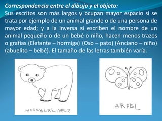 Correspondencia entre el dibujo y el objeto:
Sus escritos son más largos y ocupan mayor espacio si se
trata por ejemplo de un animal grande o de una persona de
mayor edad; y a la inversa si escriben el nombre de un
animal pequeño o de un bebé o niño, hacen menos trazos
o grafías (Elefante – hormiga) (Oso – pato) (Anciano – niño)
(abuelito – bebé). El tamaño de las letras también varía.
 