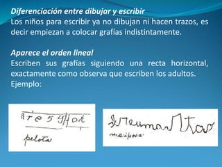 Diferenciación entre dibujar y escribir
Los niños para escribir ya no dibujan ni hacen trazos, es
decir empiezan a colocar grafías indistintamente.
Aparece el orden lineal
Escriben sus grafías siguiendo una recta horizontal,
exactamente como observa que escriben los adultos.
Ejemplo:
 