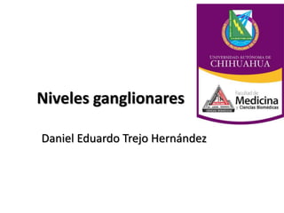 Niveles ganglionares
Daniel Eduardo Trejo Hernández
 