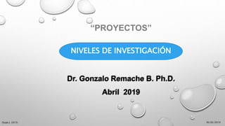 30/03/2019(Supo J. 2015)
“PROYECTOS”
Dr. Gonzalo Remache B. Ph.D.
Abril 2019
NIVELES DE INVESTIGACIÓN
 