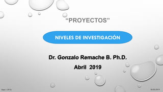 30/03/2019(Supo J. 2015)
“PROYECTOS”
Dr. Gonzalo Remache B. Ph.D.
Abril 2019
NIVELES DE INVESTIGACIÓN
 
