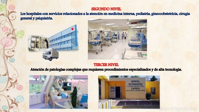 Niveles de atención, de prevención y atención