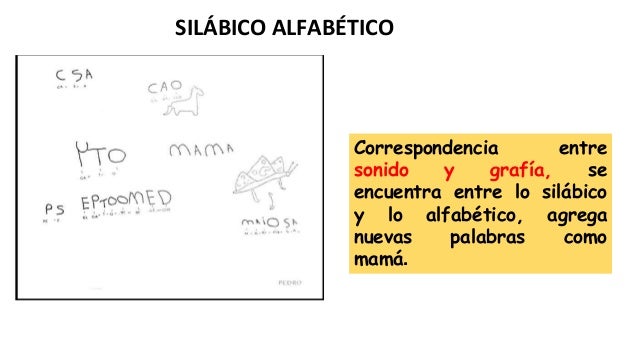 Niveles de escritura.