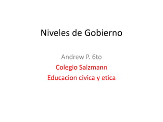 Niveles de Gobierno Andrew P. 6to  Colegio Salzmann Educacioncivica y etica 