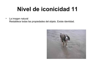 Nivel de iconicidad 11
•   La imagen natural
    Restablece todas las propiedades del objeto. Existe identidad.
 