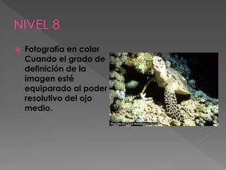 

Fotografía en color
Cuando el grado de
definición de la
imagen esté
equiparado al poder
resolutivo del ojo
medio.

 