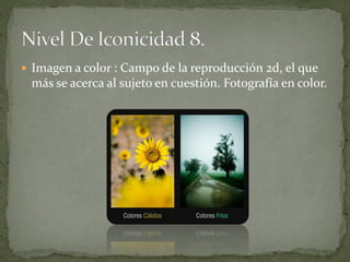  Imagen a color : Campo de la reproducción 2d, el que
 más se acerca al sujeto en cuestión. Fotografía en color.
 