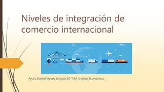 Niveles de integración de
comercio internacional
Pedro Daniel Hoyos Estrada 6D T/M Análisis Económico
 