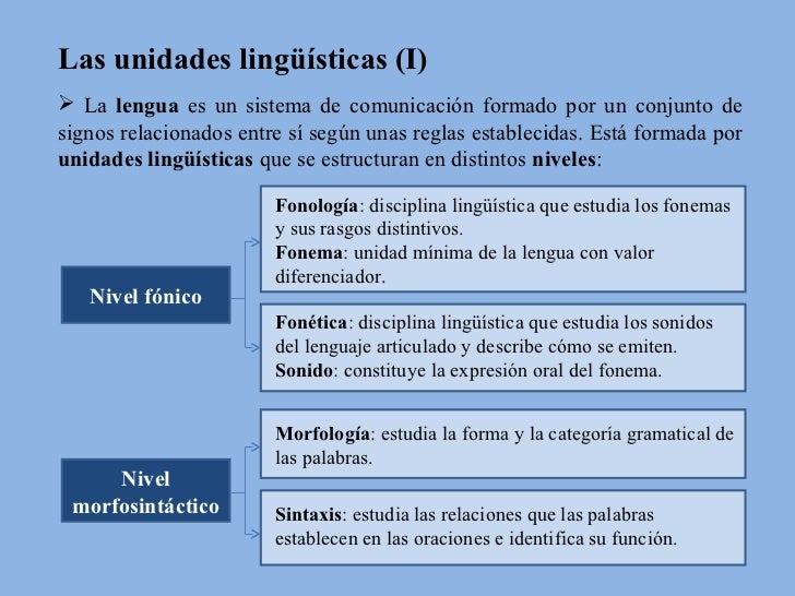 Niveles de la lengua y formación de las palabras