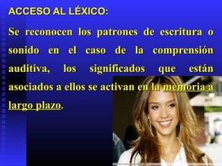 ACCESO AL LÉXICO:

Se reconocen los patrones de escritura o
sonido en el caso de la comprensión
auditiva,   los   significados   que   están
asociados a ellos se activan en la memoria a
largo plazo.
 