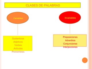 CLASES DE PALABRAS
Variables Invariables
Sustantivos
Adjetivos
Verbos
Artículos
Pronombres
Preposiciones
Adverbios
Conjunciones
Interjecciones
 