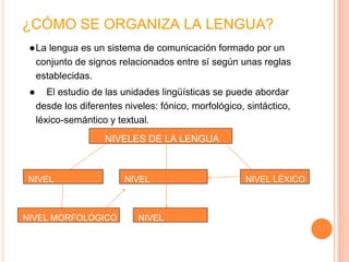 ¿CÓMO SE ORGANIZA LA LENGUA?
●La lengua es un sistema de comunicación formado por un
conjunto de signos relacionados entre sí según unas reglas
establecidas.
● El estudio de las unidades lingüísticas se puede abordar
desde los diferentes niveles: fónico, morfológico, sintáctico,
léxico-semántico y textual.
NIVELES DE LA LENGUA
NIVEL
FONÉTICO
NIVEL
SINTÁCTICO
NIVEL LÉXICO
NIVEL MORFOLÓGICO NIVEL
TEXTUAL
 