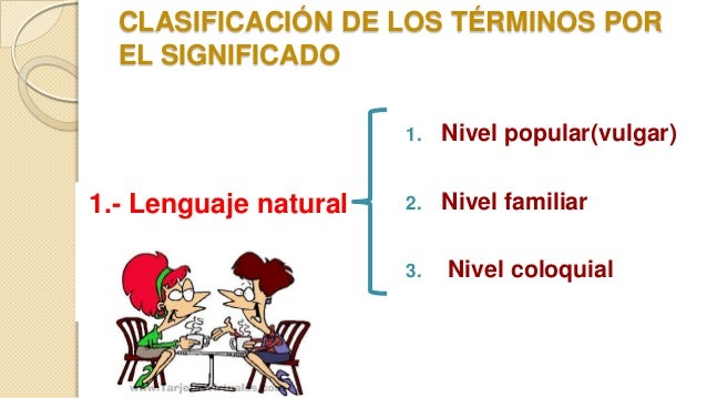 Niveles del lenguaje