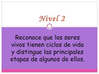 Nivel 2 Reconoce que los seres vivos tienen ciclos de vida y distingue las principales etapas de algunos de ellos. 