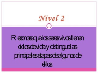 Nivel 2 Reconoce que los seres vivos tienen ciclos de vida y distingue las principales etapas de algunos de ellos. 