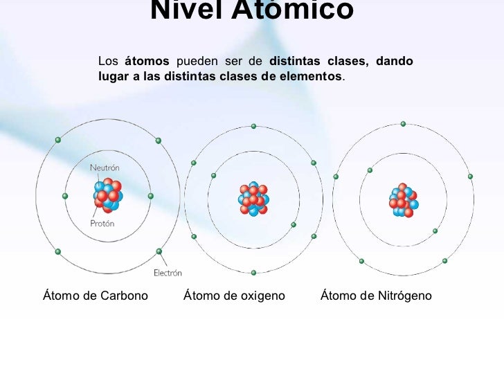 Niveles de organización