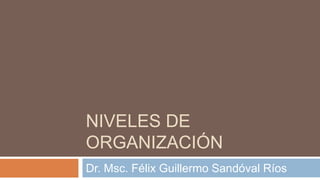 NIVELES DE
ORGANIZACIÓN
Dr. Msc. Félix Guillermo Sandóval Ríos
 