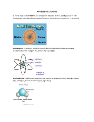 NIVELES DE ORGANIZACIÓN
El primernivel esel subatómicoque corresponde al estratoabiótico.Este tipode nivel está
integradoporpartículassubatómicasque formanun átomo (protones,neutronesyelectrones).
Nivel atómico: Es lamínima unidadde materia,estáformadoporprotones,neutronesy
electrones.Ejemplo:nitrógeno(N),carbono(C),oxígeno(O).
Nivel molecular:Está formadopor átomosque puedenserigualesodistintos.Ejemplo,oxígeno
(O2),ozono(O3),dióxidode carbono(CO2),agua(H2O).
 