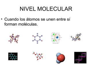 NIVEL MOLECULAR
• Cuando los átomos se unen entre sí
forman moléculas.
 