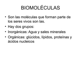 BIOMOLÉCULAS
• Son las moléculas que forman parte de
los seres vivos son las.
• Hay dos grupos:
• Inorgánicas: Agua y sales minerales
• Orgánicas: glúcidos, lípidos, proteínas y
ácidos nucleicos
 