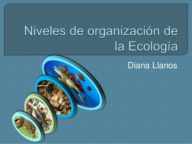Niveles De Organizacion De La Ecologia