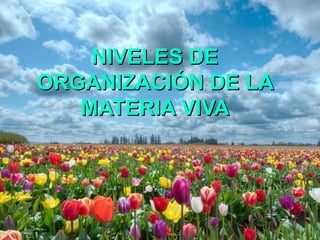NIVELES DENIVELES DE
ORGANIZACIÓN DE LAORGANIZACIÓN DE LA
MATERIA VIVAMATERIA VIVA
 