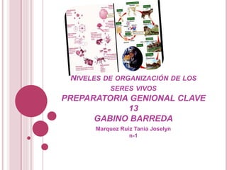 NIVELES DE ORGANIZACIÓN DE LOS
SERES VIVOS
PREPARATORIA GENIONAL CLAVE
13
GABINO BARREDA
Marquez Ruiz Tania Joselyn
n-1
 