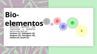 Niveles de Organizacion de los seres vivos.pptx
