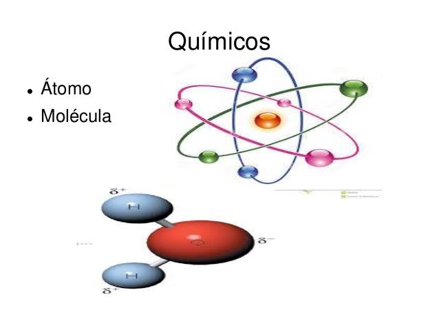 Niveles de organizacion de la materia