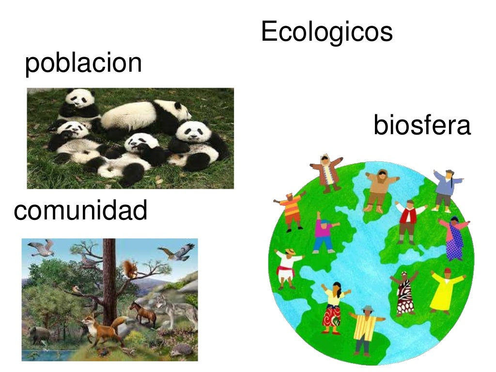 Niveles de organizacion de la materia