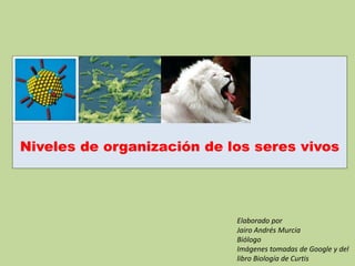 Niveles de organización de los seres vivos




                            Elaborado por
                            Jairo Andrés Murcia
                            Biólogo
                            Imágenes tomadas de Google y del
                            libro Biología de Curtis
 