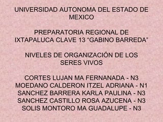 UNIVERSIDAD AUTONOMA DEL ESTADO DE
MEXICO
PREPARATORIA REGIONAL DE
IXTAPALUCA CLAVE 13 “GABINO BARREDA”
NIVELES DE ORGANIZACIÓN DE LOS
SERES VIVOS
CORTES LUJAN MA FERNANADA - N3
MOEDANO CALDERON ITZEL ADRIANA - N1
SANCHEZ BARRERA KARLA PAULINA - N3
SANCHEZ CASTILLO ROSA AZUCENA - N3
SOLIS MONTORO MA GUADALUPE - N3
 