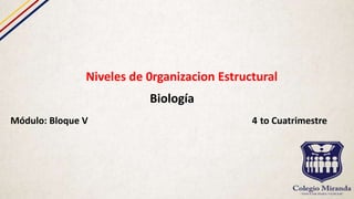 Niveles de 0rganizacion Estructural
Biología
Módulo: Bloque V 4 to Cuatrimestre
 