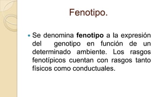 Fenotipo.


Se denomina fenotipo a la expresión
del
genotipo en función de un
determinado ambiente. Los rasgos
fenotípicos cuentan con rasgos tanto
físicos como conductuales.

 
