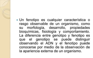 

Un fenotipo es cualquier característica o
rasgo observable de un organismo, como
su morfología, desarrollo, propiedades
bioquímicas, fisiología y comportamiento.
La diferencia entre genotipo y fenotipo es
que el genotipo se puede distinguir
observando el ADN y el fenotipo puede
conocerse por medio de la observación de
la apariencia externa de un organismo.

 