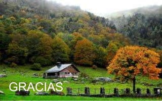 GRACIAS

 