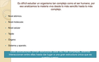 Es difícil estudiar un organismo tan complejo como el ser humano, por
eso analizamos la materia viva desde lo más sencillo hasta lo más
complejo.


Nivel atómico.



Nivel molecular.



Nivel celular



Tejido



Órgano



Sistema y aparato.

Esas asociaciones forman estructuras cada vez más complejas, además
interaccionan entre ellas hasta dar lugar a una gran estructura única que es
nuestro cuerpo.

Esas asociaciones forman estructuras cada vez más complejas, además interaccionan entre ellas hasta dar lugar a una gran estructura única que es
nuestro cuerpo.

 