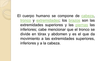 El cuerpo humano se compone de cabeza,
tronco y extremidades; los brazos son las
extremidades superiores y las piernas las
inferiores; cabe mencionar que el tronco se
divide en tórax y abdomen y es el que da
movimiento a las extremidades superiores,
inferiores y a la cabeza.

 