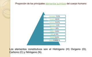 Proporción de los principales elementos químicos del cuerpo humano:

Hidrógeno 10,0%
Oxígeno 65,0%
Carbono 19,37%
Nitrógeno 3,2%
Calcio 1,38%
Fósforo 0,64%
Cloro 0,18%
Potasio 0,22%
Hierro 0,00005 %

Los elementos constitutivos son el Hidrógeno (H) Oxígeno (O),
Carbono (C) y Nitrógeno (N).

 