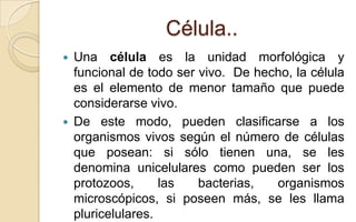 Célula..




Una célula es la unidad morfológica y
funcional de todo ser vivo. De hecho, la célula
es el elemento de menor tamaño que puede
considerarse vivo.
De este modo, pueden clasificarse a los
organismos vivos según el número de células
que posean: si sólo tienen una, se les
denomina unicelulares como pueden ser los
protozoos,
las
bacterias,
organismos
microscópicos, si poseen más, se les llama
pluricelulares.

 