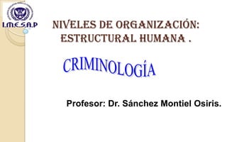NIVELES DE ORGANIZACIÓN:
ESTRUCTURAL HUMANA .

Profesor: Dr. Sánchez Montiel Osiris.

 