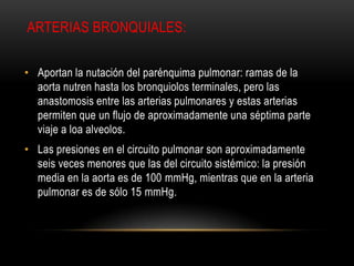 ARTERIAS BRONQUIALES:
• Aportan la nutación del parénquima pulmonar: ramas de la
aorta nutren hasta los bronquiolos terminales, pero las
anastomosis entre las arterias pulmonares y estas arterias
permiten que un flujo de aproximadamente una séptima parte
viaje a loa alveolos.
• Las presiones en el circuito pulmonar son aproximadamente
seis veces menores que las del circuito sistémico: la presión
media en la aorta es de 100 mmHg, mientras que en la arteria
pulmonar es de sólo 15 mmHg.
 