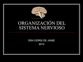 ORGANIZACIÓN DEL
SISTEMA NERVIOSO
DRA OZIRIS DE JAIME
2014
 