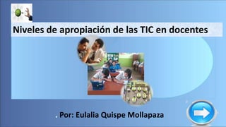 Niveles de apropiación de las TIC en docentes
. Por: Eulalia Quispe Mollapaza
 