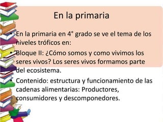 En la primaria
• En la primaria en 4° grado se ve el tema de los
niveles tróficos en:
• Bloque II: ¿Cómo somos y como vivimos los
seres vivos? Los seres vivos formamos parte
del ecosistema.
• Contenido: estructura y funcionamiento de las
cadenas alimentarias: Productores,
consumidores y descomponedores.
 