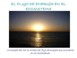 La energía del Sol es la base del flujo de energía que se produce
en los ecosistemas
EL FLUJO DE ENERGÍA EN EL
ECOSISTEMA
 