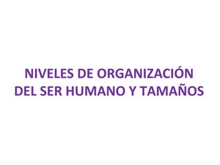 NIVELES DE ORGANIZACIÓN
DEL SER HUMANO Y TAMAÑOS
 