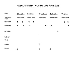 RASGOS DISTINTIVOS DE LOS FONEMAS


PUNTO
            Bilabiales      Dentales        Alveolares      Palatales       Velares
SONORIDAD   Sonora- Sorda   Sonora- Sorda   Sonora- Sorda   Sonora- Sorda   Sonora- Sorda
MODO

Oclusiva    b        p       d        t                                         g     k
Fricativa   b          f      d                        s    y                          x

Africada                                                                c

                                            l
Lateral

Corta                                       r

Larga                                       r

Nasal       m                               n               ñ
 
